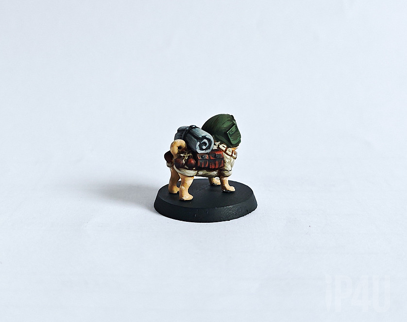 Dogs Militarum image 2