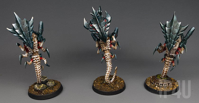 Зоонтропы image 2