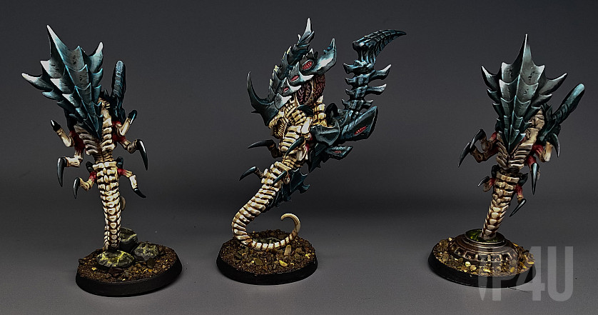 Зоонтропы image 3