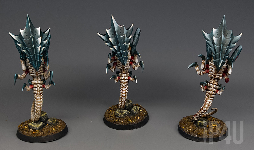 Зоонтропы image 1