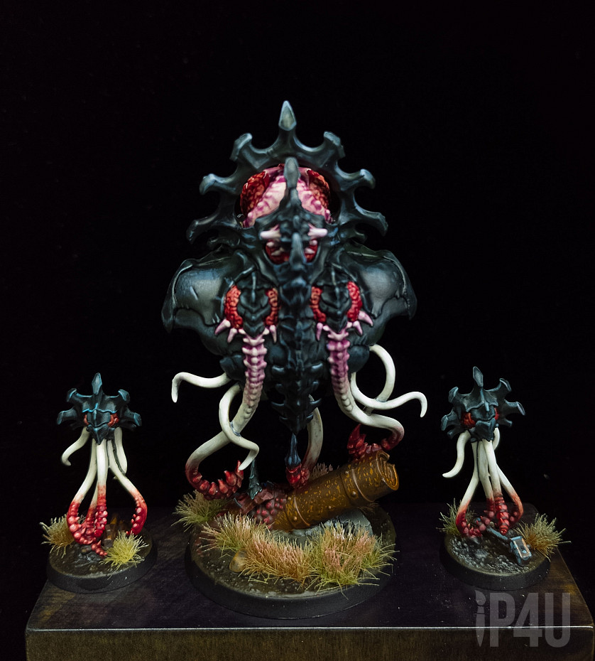 Пачка каких то жуков ) image 2