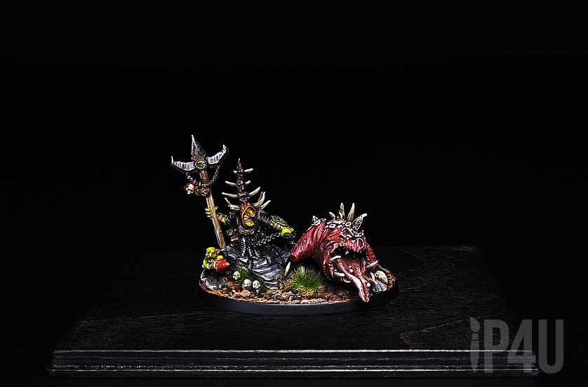 Warhammer Age of Sigmar Gloomspite Gitz. Loonboss with Giant Cave Squig. Skarsnik and Gobbla. image 1