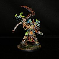 Typhus