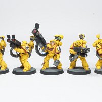 Imperial fists Desolation Squad, игровой покрас